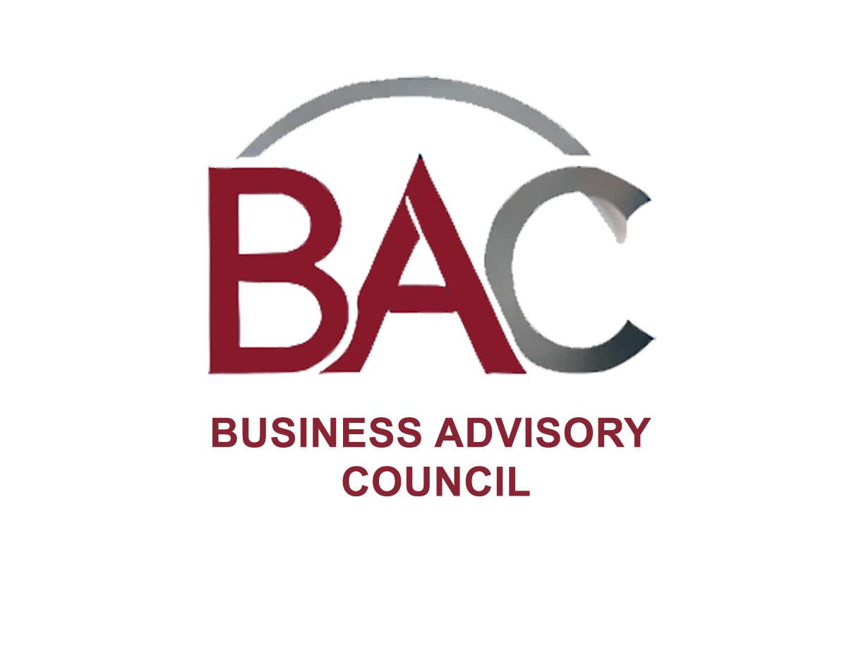 Business Advisory Council (BAC): A Vision for Enhancing Competitiveness in Egypt