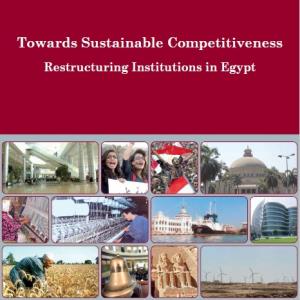 Ninth Report: Towards Sustainable Competitiveness, Restructuring Institutions in Egypt