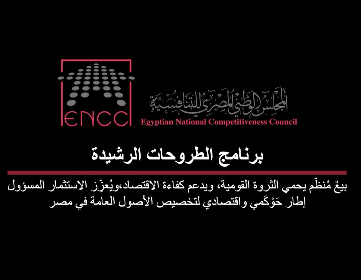 برنامج الطروحات الرشيدة : بيعٌ مُنظَّم يحمي الثروة القومية، ويدعم كفاءة الاقتصاد