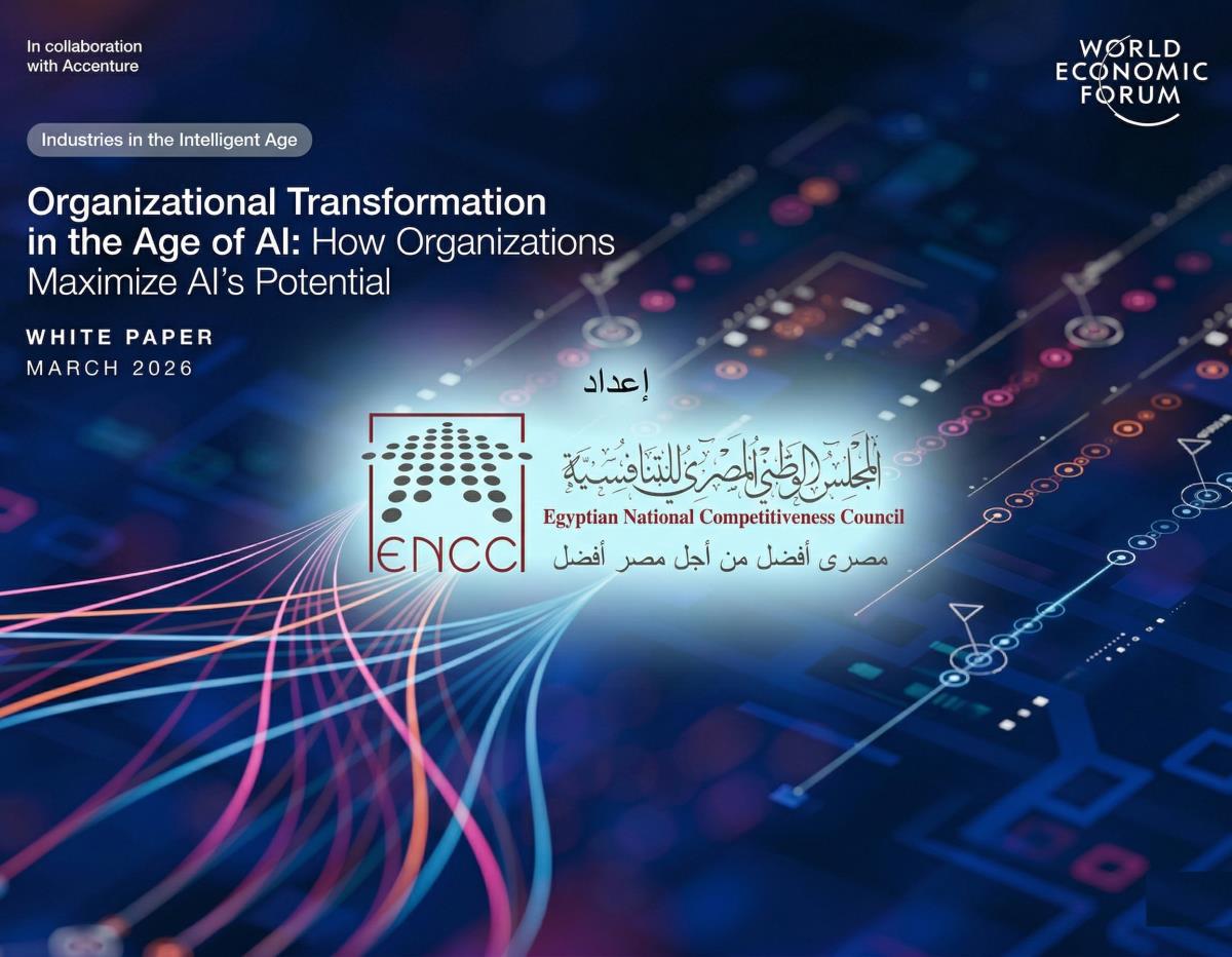 Organizational Transformation in the Age of AI: How Organizations Maximize AI's Potential