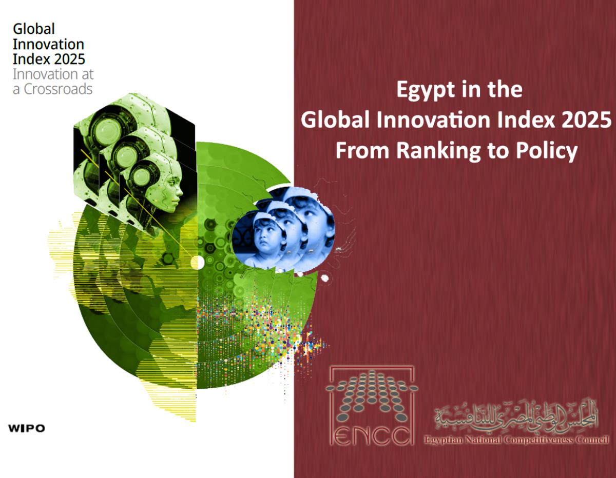 Egypt in the Global Innovation Index 2025: From Ranking to Policy