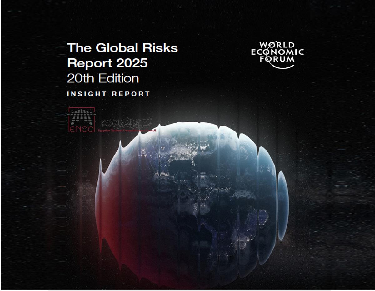 The World Economic Forum’s Global Risks Report 2025: Curated Overview